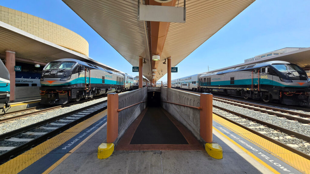 Black, silver, and teal painted trains waiting at a station platform.