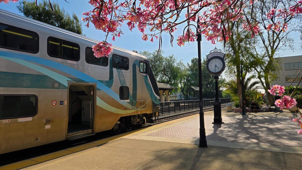 Silver train waiting at station platform with pink cherry blossoms on a tree overhead.