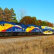Blue and yellow train travels along autumn colored trees.